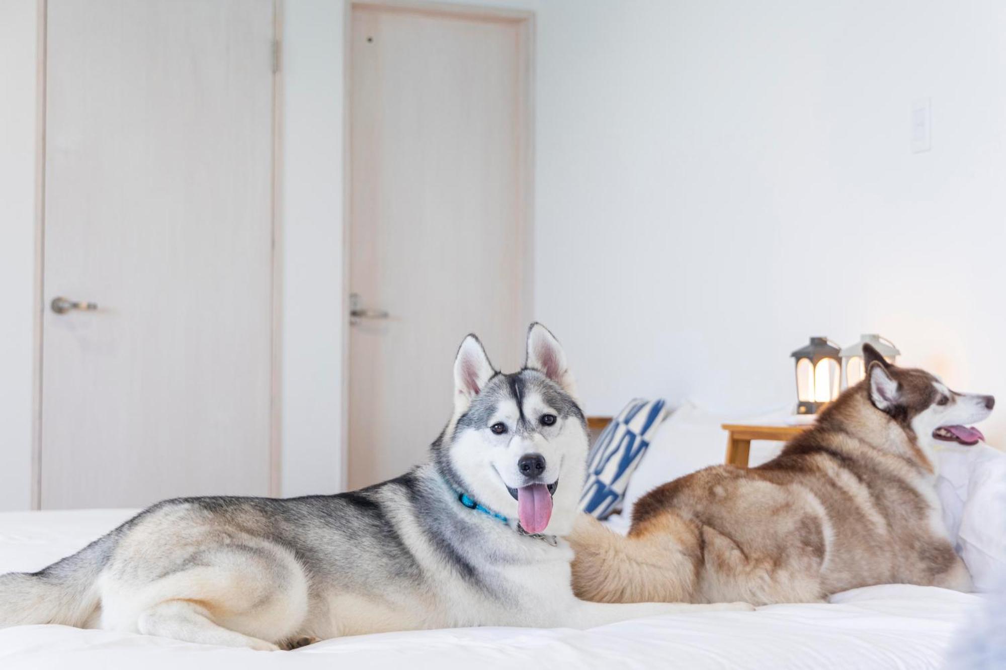 Vila Lemon Farm Glamping Simanami Onomiči Exteriér fotografie